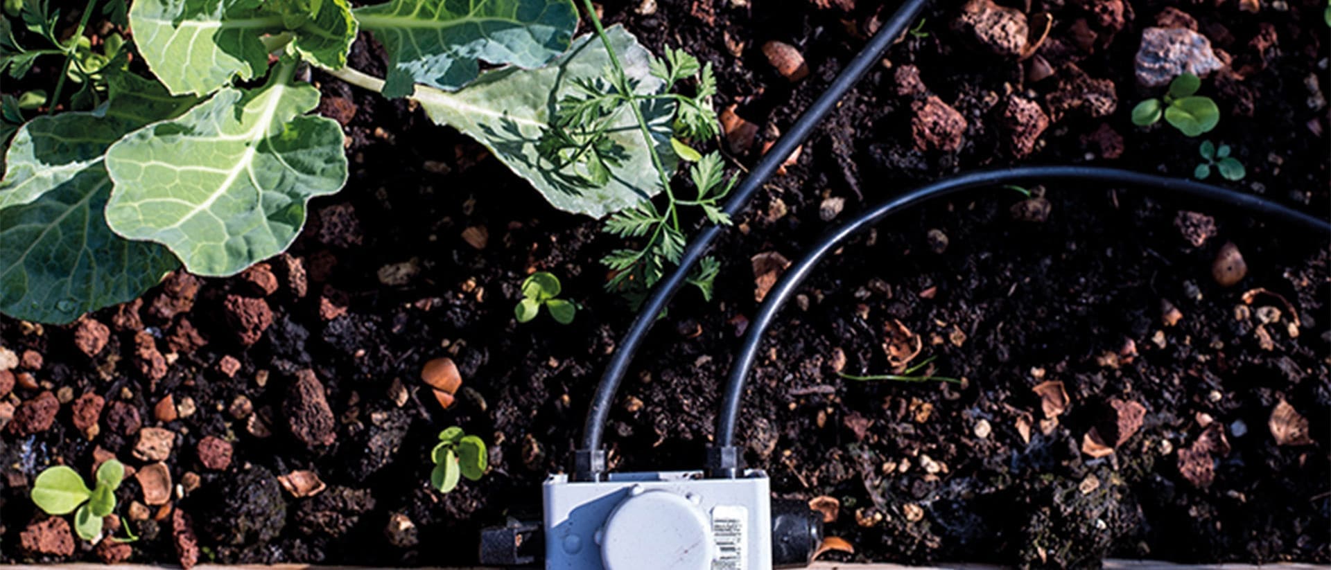 Optimised irrigation system – SmartCore Hub